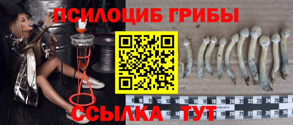 Псилоцибиновые грибы MAGIC MUSHROOMS Знаменск